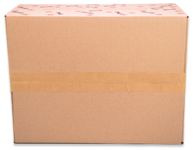 pudło do wysyłki klapowe - jak drukować na kartonie - spód kartonu